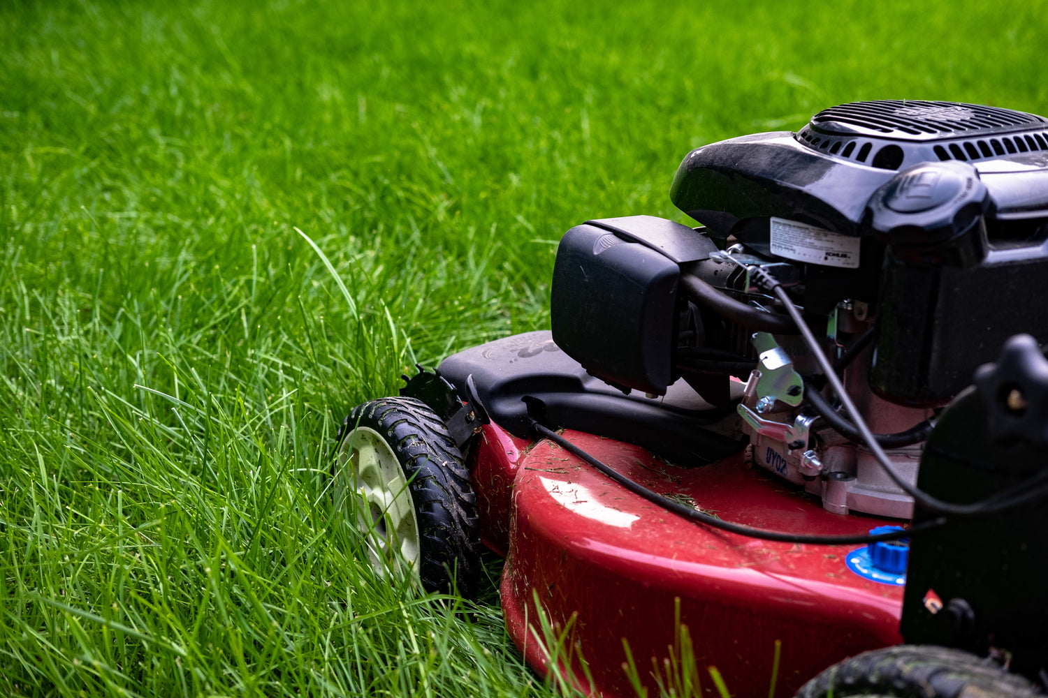 Professional gardener mowing a lawn in Newcastle